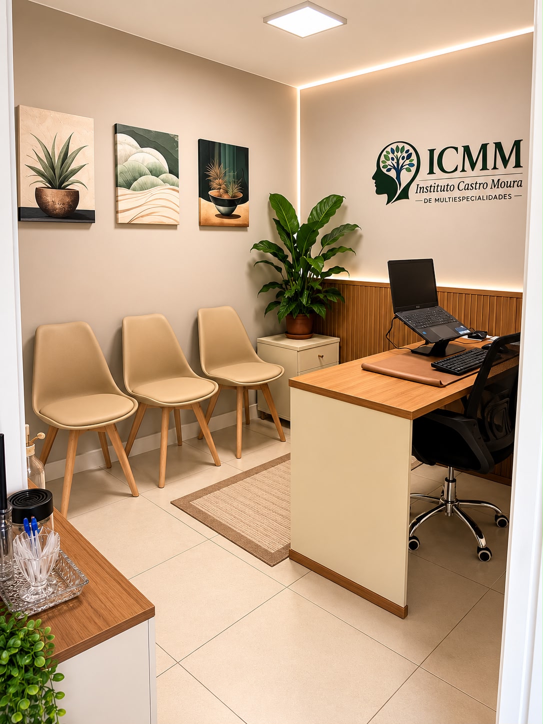 Estrutura ICMM 1